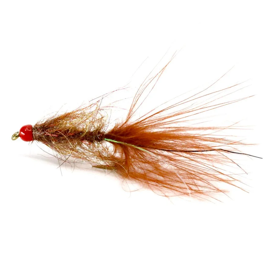 Arizona Leech Canadian Brown