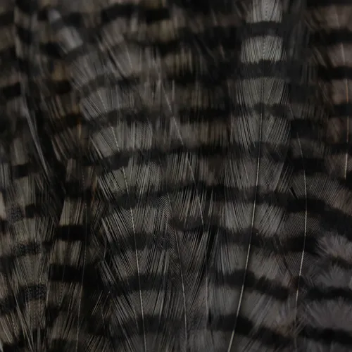 MFC Barred Saddle Hackle