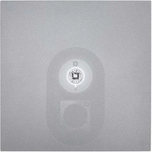 System Sensor SCWL-TILE L-Series Drop-In Ceiling Tile Strobe Only, UL-Listed with "FIRE" Marking